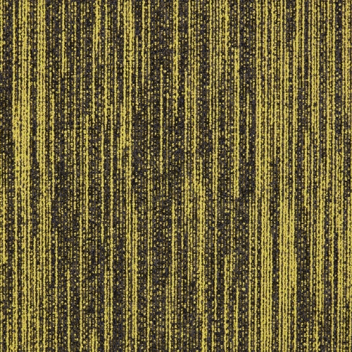 MODULYSS First First Decode 210
