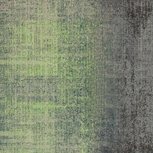 MILLIKEN Dissident 2.0 DTR13-141/27-174 Renewal/Cinder