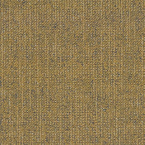 BLOQ Textured collection 225
   
  
      Amber