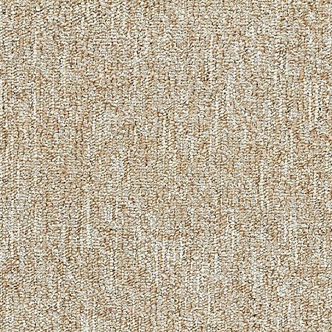 BLOQ Binary collection 130
   
  
      Sahara