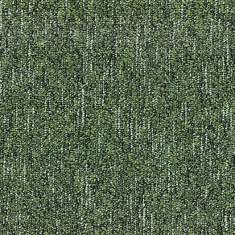 BLOQ Binary collection 617
   
  
      Moss