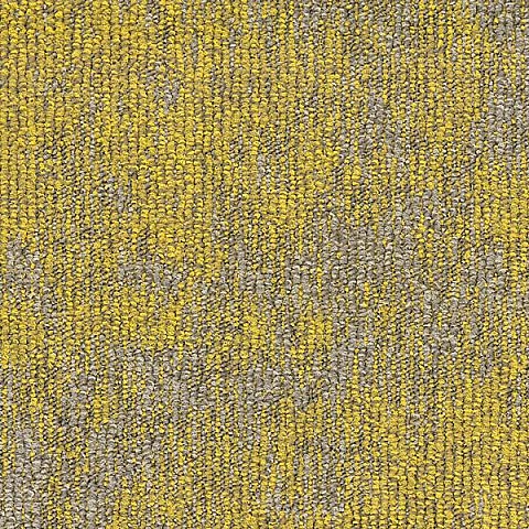 BLOQ Binary collection 125
   
  
      Flax