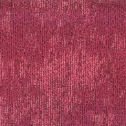 BLOQ Binary collection 410
   
  
      Fuchsia