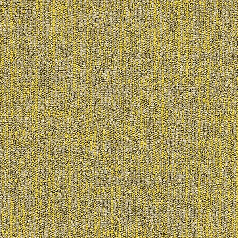 BLOQ Binary collection 125
   
  
      Flax
