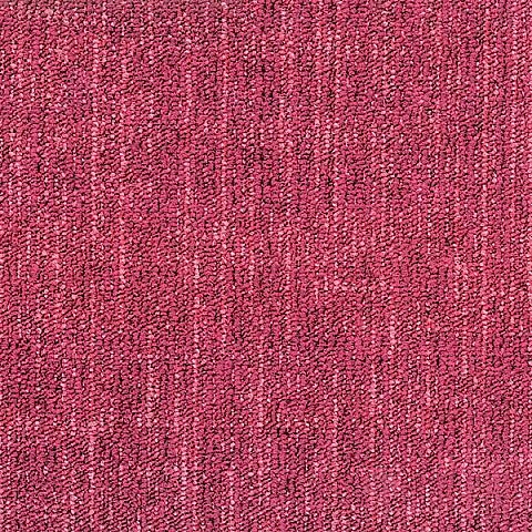 BLOQ Binary collection 410
   
  
      Fuchsia