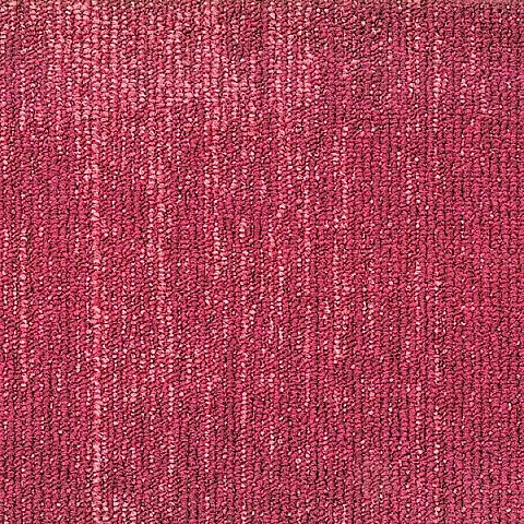 BLOQ Binary collection 410
   
  
      Fuchsia