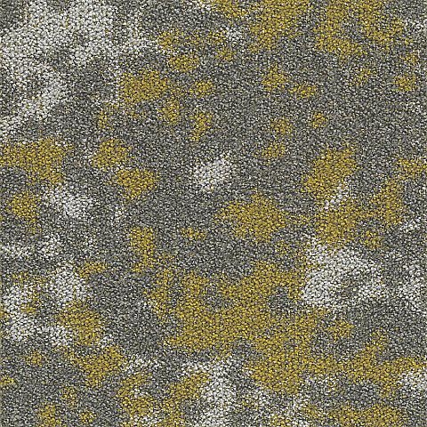 BLOQ Create Collection 208
   
  
      Honey