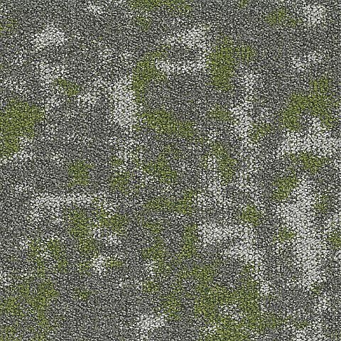 BLOQ Create Collection 622
   
  
      Fern