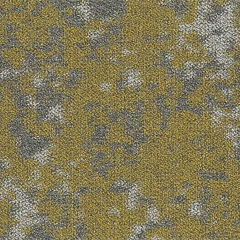BLOQ Create Collection 207
   
  
      Dijon