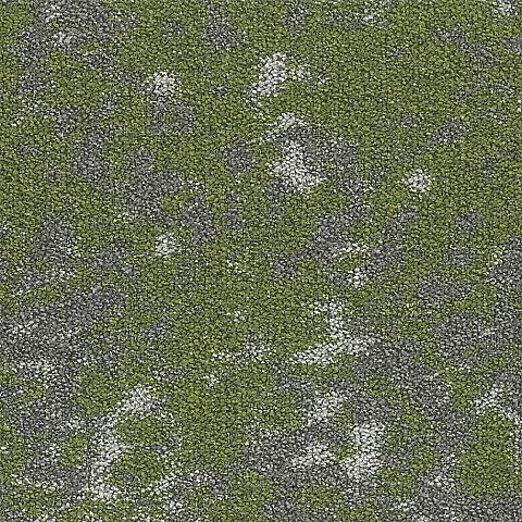 BLOQ Create Collection 621
   
  
      Spring