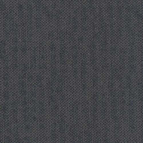 MODULYSS Haelo Ray 542