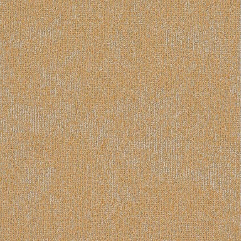 BLOQ Legend 219
   
  
      Desert