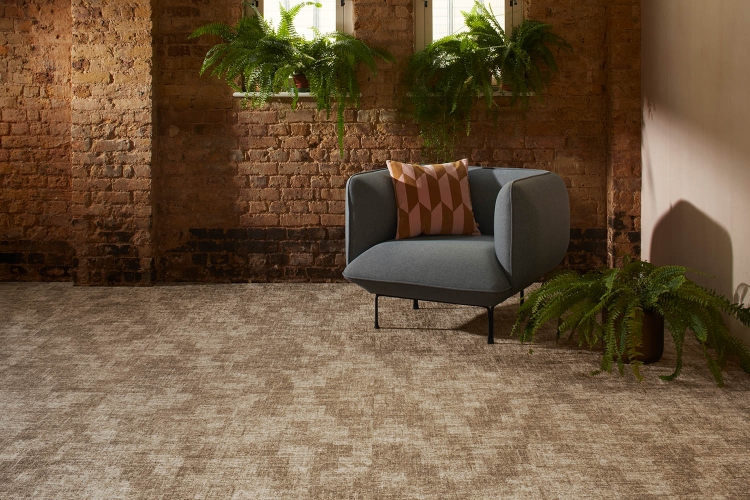 MILLIKEN ARB81-204 Argan
