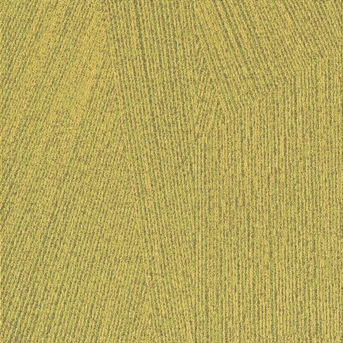 MILLIKEN Facet FCT103 Citrus