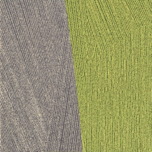 MILLIKEN Facet FTR97-48/103-141 Lime/Stone