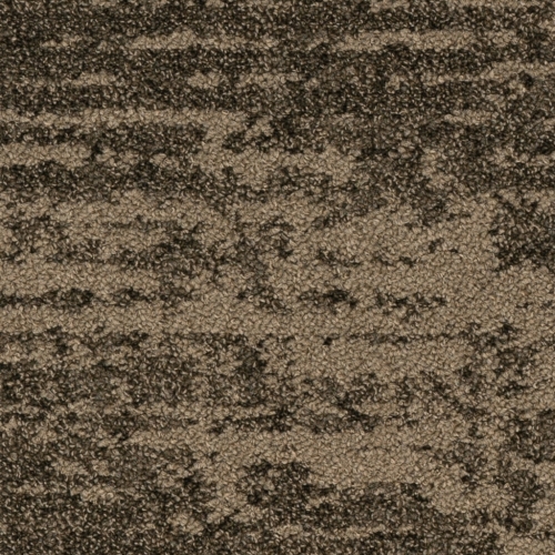 IVC Imperfection Bruut 685