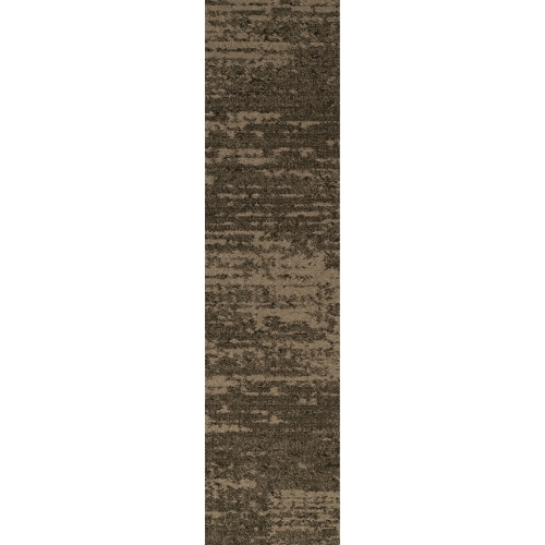 IVC Bruut 685