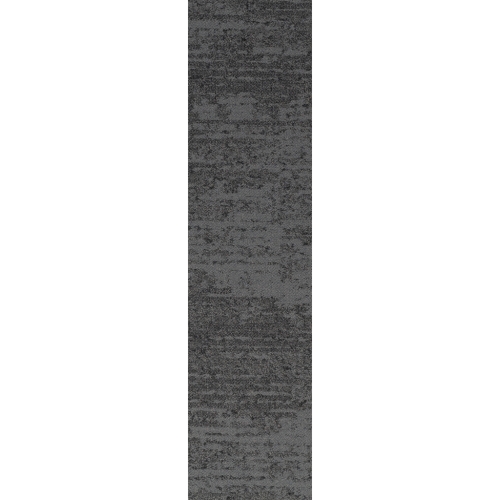 IVC Bruut 569