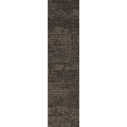 IVC Bruut 969